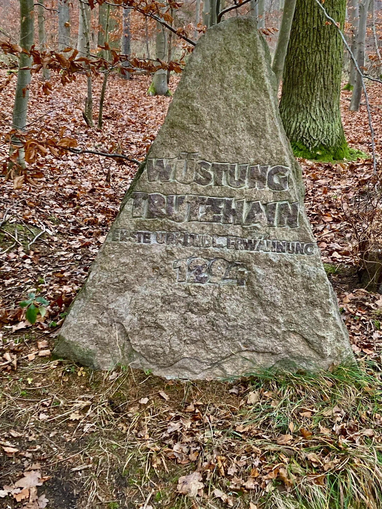 Gedenkstein Wüstung Trutishain